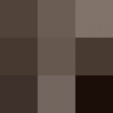        : «  »